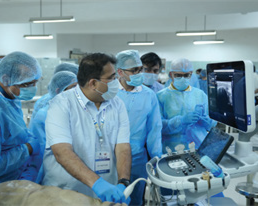 Cadaveric MSK Interventions